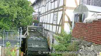 Mühlentag: Diese Mühlen in und um Wolfenbüttel machen Montag mit