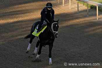 Forte Works Out, Waits for Belmont Stakes Clearance