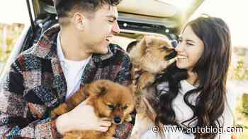 Memorial Day deals on road trip essentials