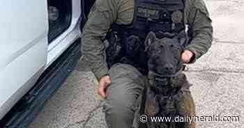 Funeral set for Kane County police dog killed in shootout