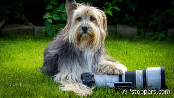 We Review the Canon RF 100-300mm f/2.8L IS USM Lens