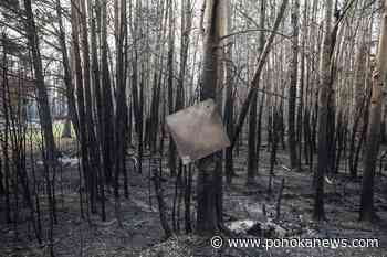 Drying conditions return in Alberta, crews see more intense fire activity