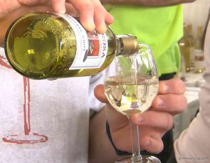 2023 New Mexico Wine Festival hits Balloon Fiesta Park