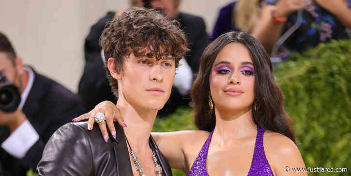 Camila Cabello & Shawn Mendes Share Romantic Moment While Attending Taylor Swift's 'Eras Tour' Amid Reunion Rumors