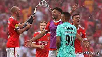 Benfica 3-0 Santa Clara: Roger Schmidt's side seal Portuguese title