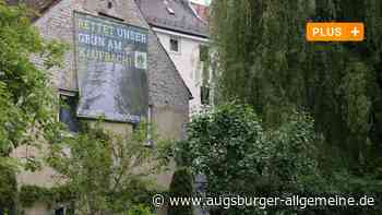 Kiebitze, Frösche und Käfer in Not: So zeigt sich das Artensterben in Augsburg