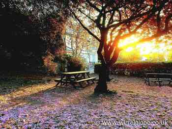 From sunrise to sunset, lakes to the sea: 20 fabulous photos in Wirral