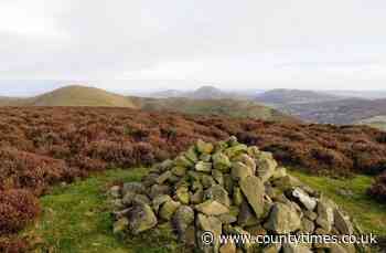 Powys border town included in new shuttle bus route