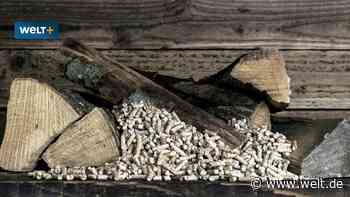 Der neue Zwang der Grünen zum Kompromiss