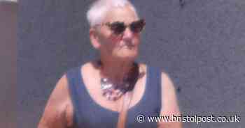 West Country pensioner made neighbours lives 'a living nightmare' and tried to poison their cat