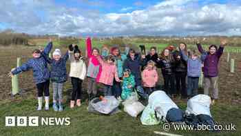 'Over 100,000 trees' planted in Doncaster since 2021, council says