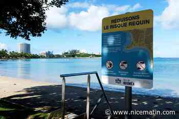 Nouvelle attaque mortelle de requin en Nouvelle-Calédonie pendant une pêche sous-marine
