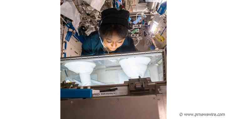 Inspirer une nouvelle génération de scientifiques : 12 000 étudiants saoudiens collaborent avec des astronautes lors de trois expériences scientifiques