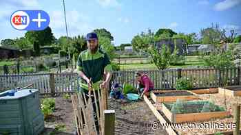 Dänischenhagen: Warum auch Jüngere die Arbeit im Kleingarten schätzen