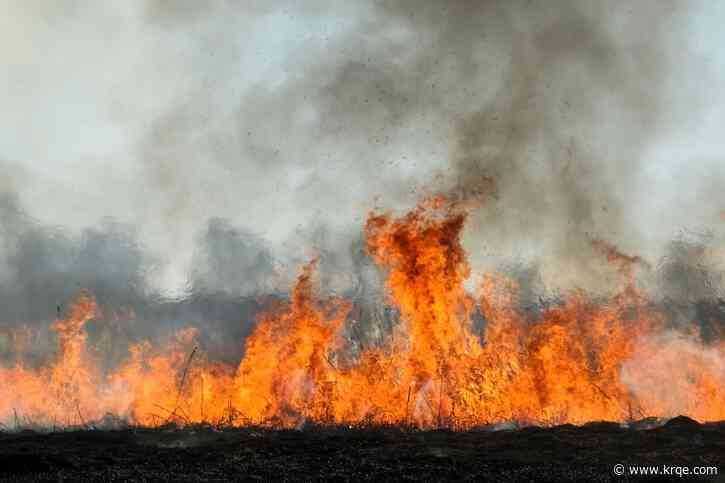 How wildfire smoke can harm human health, even when the fire is hundreds of miles away – a toxicologist explains