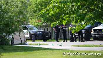 Engaged couple shot dead outside home near Hamilton after landlord-tenant dispute, police say