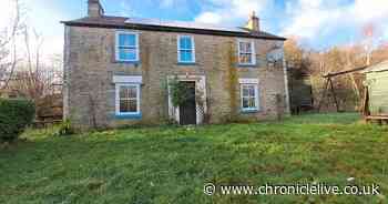 Inside the charming off-grid cottage in picturesque Northumberland that's up for auction