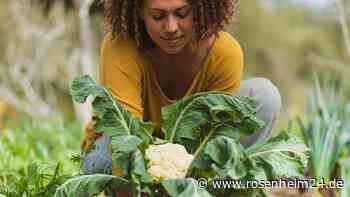 Gesund abnehmen: Zehn Lebensmittel, die verträglicher sind, wenn Sie diese roh verzehren