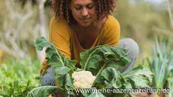 Gesund abnehmen: Zehn Lebensmittel, die verträglicher sind, wenn Sie diese roh verzehren