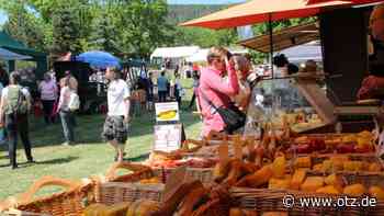 Fotos: Entspannte Atmosphäre auf dem Reinstädter Landmark