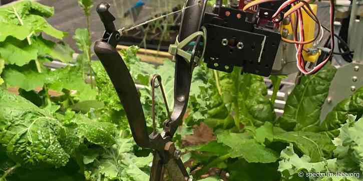 Robot Passes Turing Test for Polyculture Gardening