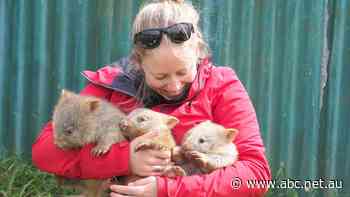 When will there be good news? Why we're craving stories that make us smile