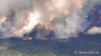 Evacuation orders issued for remote parts of northern B.C. due to wildfire