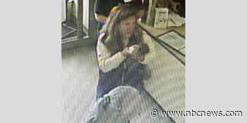 Rabies fears prompt baby raccoon to be euthanized after woman brings it to Maine Petco for nail trimming