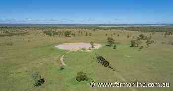 Lachlan Downs makes $917/acre | Video