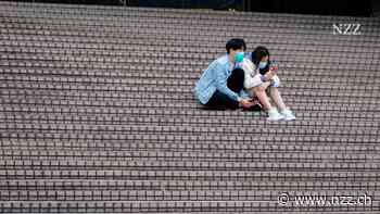 Warum ein italienisches Medikament zur Behandlung von Gallensteinen in China reissenden Absatz findet