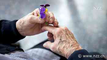 Wann ein Demenz-Screening sinnvoll ist – und wann eher nicht