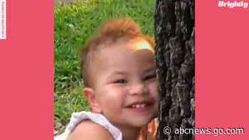 WATCH:  This TikTok toddler loves hugging trees