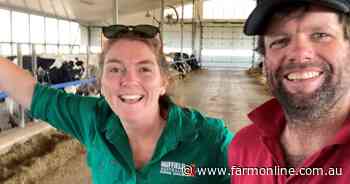 Gardiner scholar looking at animal welfare