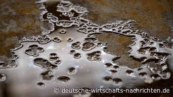 Mehr Unternehmensinsolvenzen – langjähriger Trend gebrochen