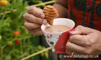 Scientists reveal the best biscuits for DUNKING this International Biscuit Day - so do YOU agree?