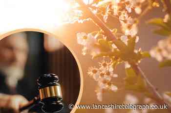 5 Spring activities that could lead to legal issues