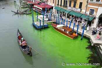 Venice police investigating after famed Grand Canal turns bright green