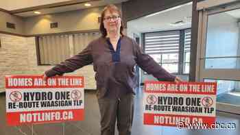 Hydro One's Waasigan Transmission Line project sparks tensions among homeowners
