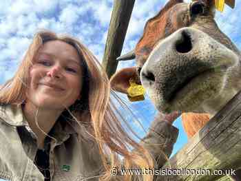 Benefact gives £5k to Brentwood's Hopefield Animal Sanctuary