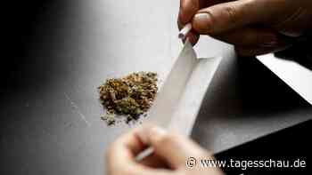 Vor Legalisierung: Ansturm auf Cannabis-Clubs
