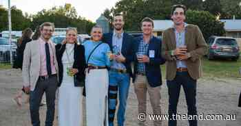Golden triangle begins at 99th annual Moree Picnic Races