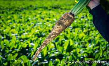 World Digestive Health Day highlights changing GI needs