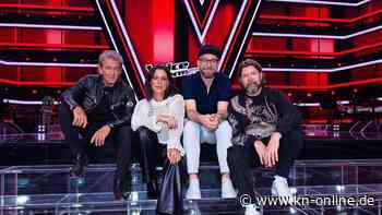 „The Voice of Germany“ bekommt vier neue Coaches