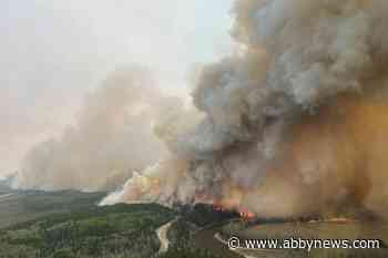Early snowmelt in Western mountains means drier summers, more wildfire risk: study
