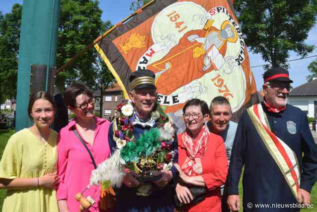 Hoogzwangere koe steekt landbouwer Guido (70) bijna stokken in de wielen als nieuwe schutterskoning: “Vals alarm, ze zal pas morgen kalven”