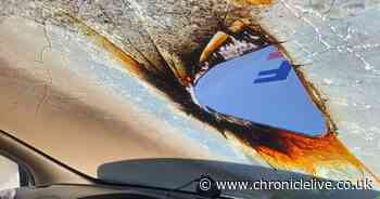 Warning issued to drivers after sunglasses set car on fire on hot day