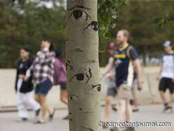 Edmonton weather: Looks to be warm wth a chance of thunder