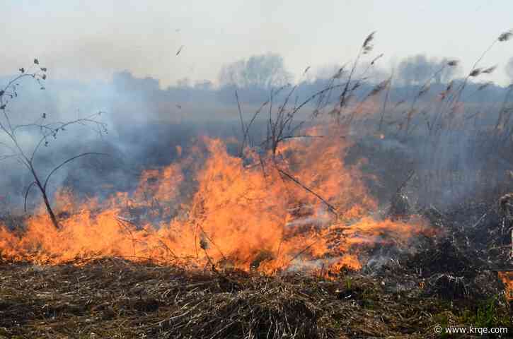 Prescribed burns to begin in the Mount Taylor Ranger District