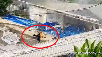 Incendio all'ex pista di ghiaccio, l'ipotesi dolosa: il video