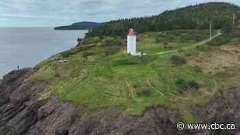 Company with McCain family connections buying up coastal properties in N.B.